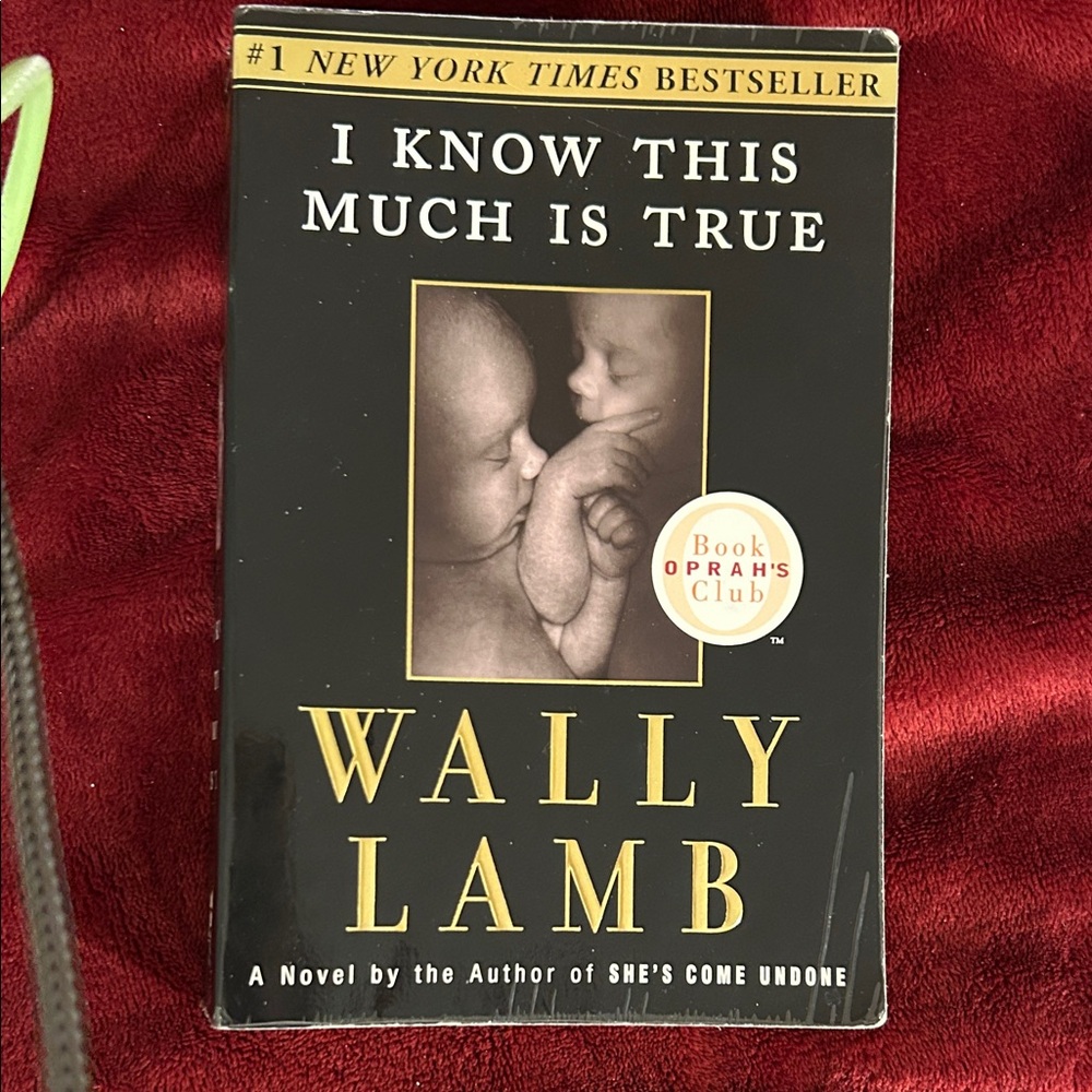 I know this Much is True by Wally Lamb